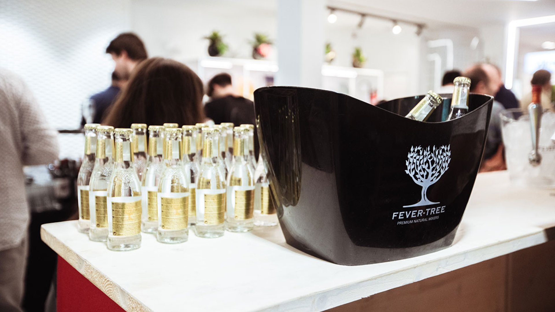 Showroom & Friends
